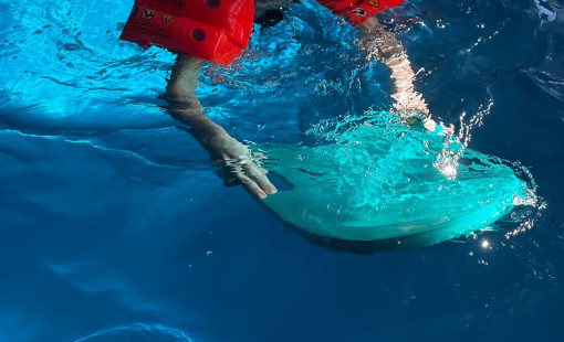 YVcR4UyxuRtUKUXFvLjQ_5_cHghgXaPvpWnvDzjIqbTgtDHCcfl-MhQk1DTYwgLC6dVRcnmPaAy1vSQDEVVkx6so