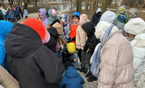 Каникулы в КВА-КВА