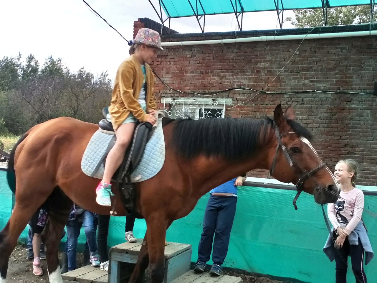 Занятия конным спортом